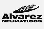 alvaerez neumaticos